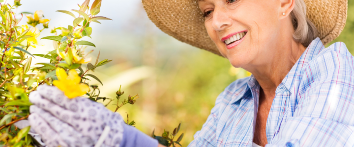 Gardening Benefits for Elderly