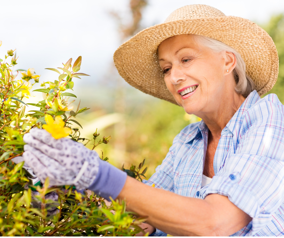 A woman in a hat and gloves is pruning flowers.